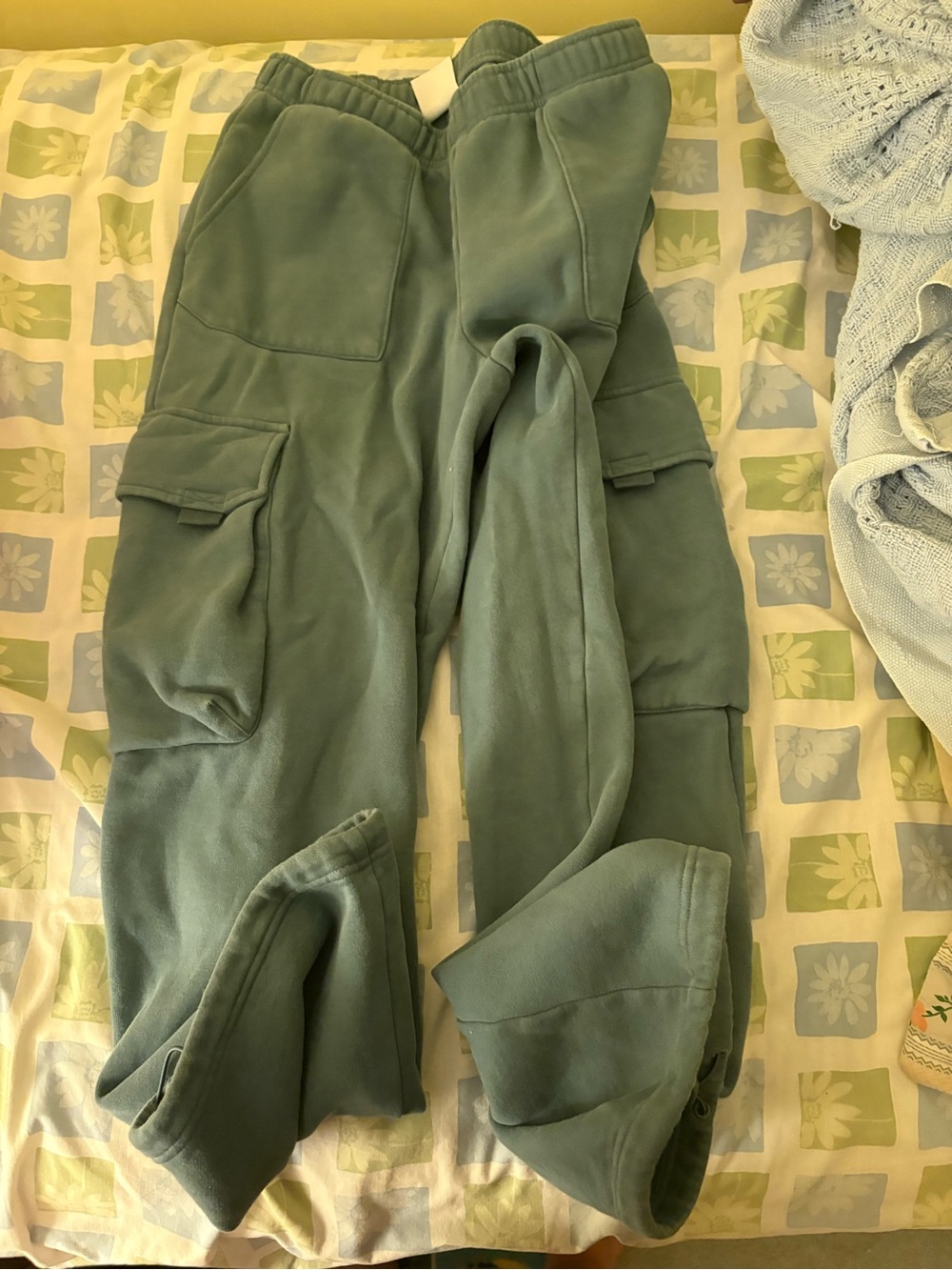 Aritzia snap mega fleece cargos